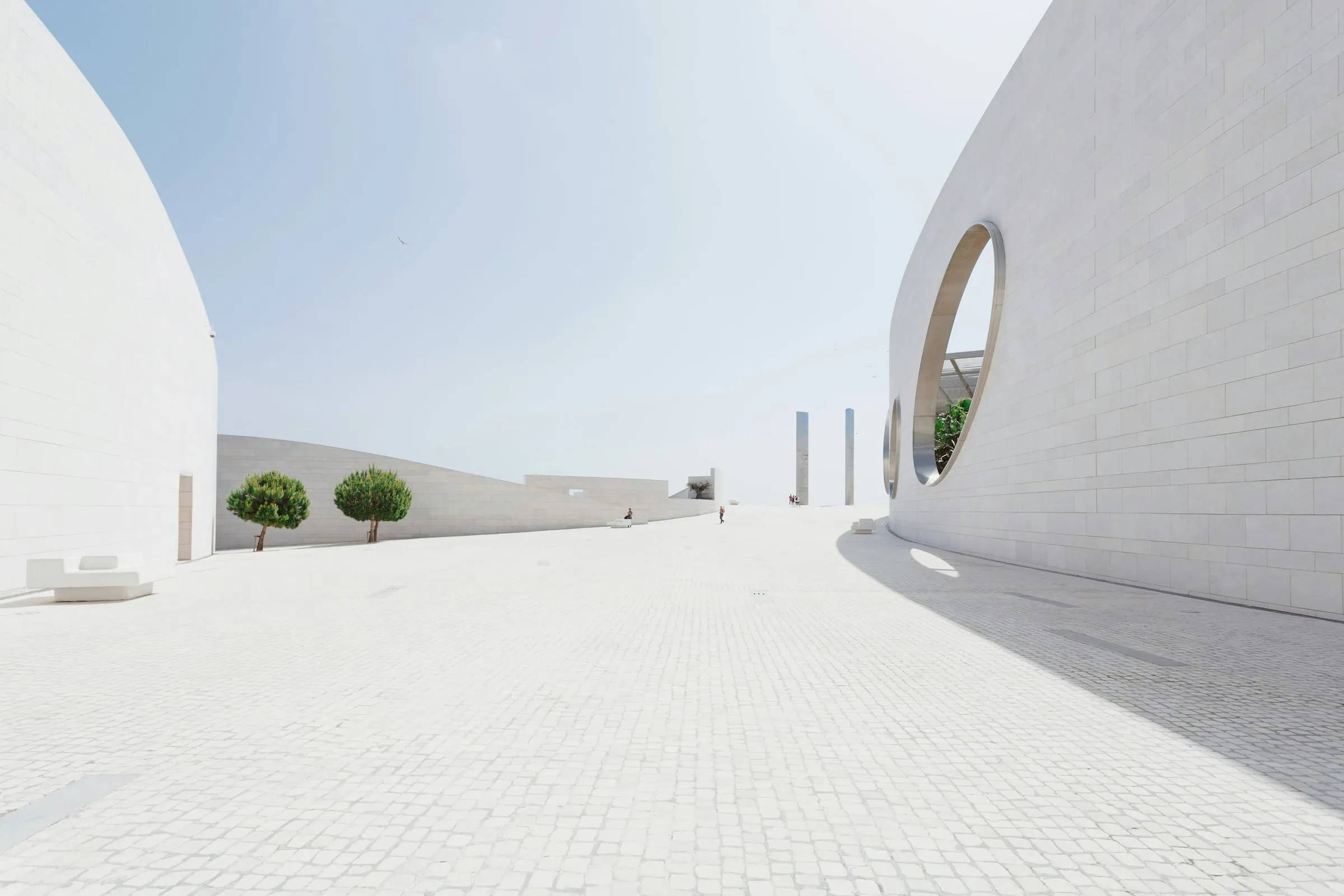 A row of small trained trees standing in even spacing against a blank wall